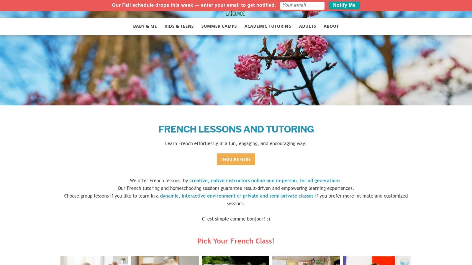 Tribeca Language – French For Toddlers & Baby & Me