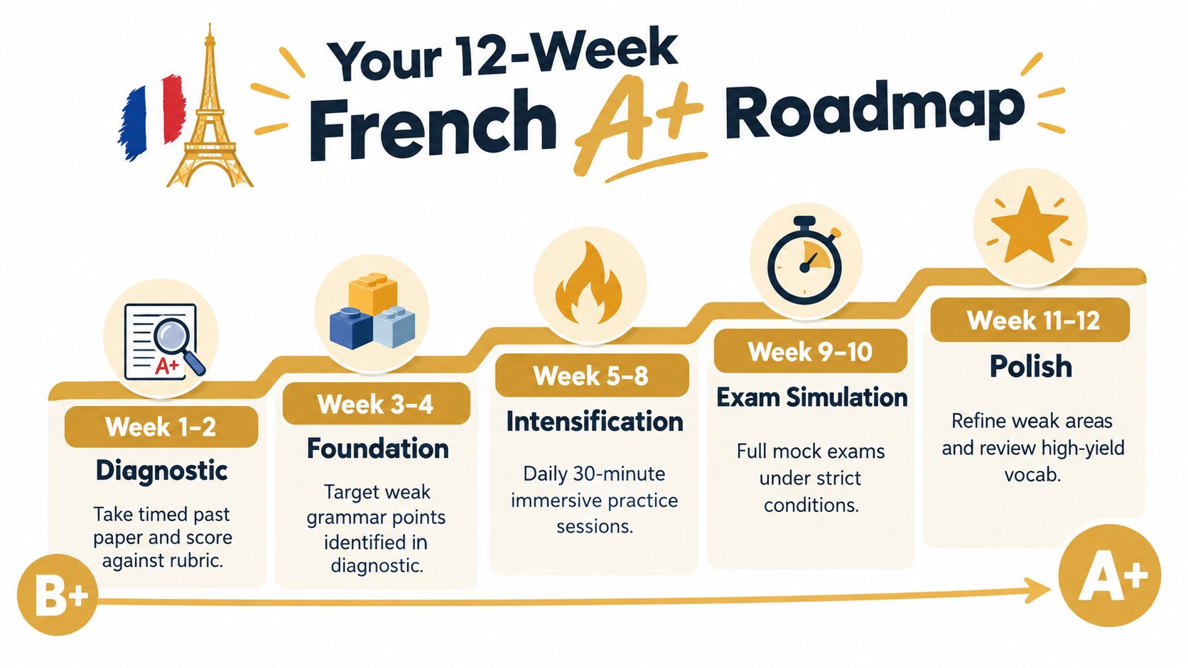 A 12-week educational roadmap infographic for students aiming to achieve an A+ grade in French studies.