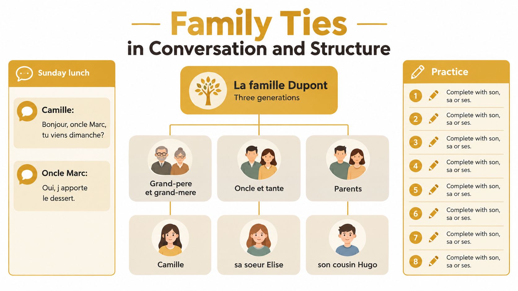 An educational infographic illustrating French family relationships with a family tree chart and grammar practice exercises.