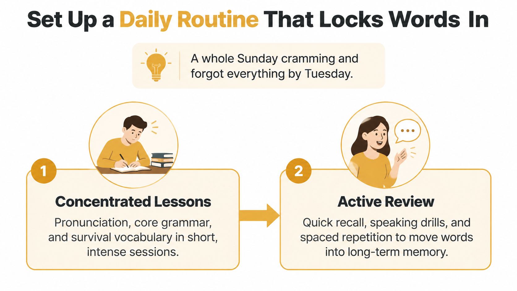 A visual guide explaining a daily routine for language learning including concentrated lessons and active review.